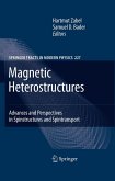Magnetic Heterostructures (eBook, PDF)