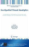 GeoSpatial Visual Analytics (eBook, PDF)