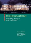 Hemodynamical Flows (eBook, PDF)