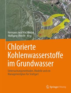 Chlorierte Kohlenwasserstoffe im Grundwasser (eBook, PDF)