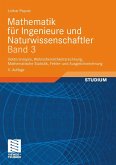 Mathematik für Ingenieure und Naturwissenschaftler Band 3 (eBook, PDF)