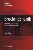 Bruchmechanik (eBook, PDF)