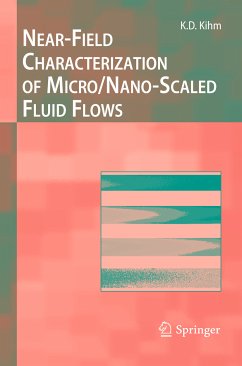 Near-Field Characterization of Micro/Nano-Scaled Fluid Flows (eBook, PDF) - Kihm, Kenneth D