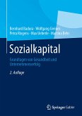 Sozialkapital (eBook, PDF)