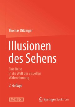 Illusionen des Sehens (eBook, PDF) - Ditzinger, Thomas