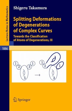 Cover Splitting Deformations of Degenerations of Complex Curves (eBook, PDF)