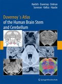 Duvernoy's Atlas of the Human Brain Stem and Cerebellum (eBook, PDF)