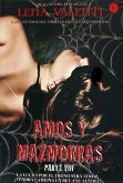 Amos y mazmorras VIII