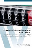 Datenschutz im Smart Grid & Smart Meter