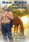 One Night With A Cowboy (Books 1-5) (eBook, ePUB)