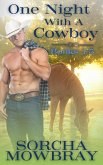 One Night With A Cowboy (Books 1-5) (eBook, ePUB)