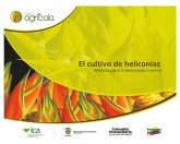 El cultivo de heliconias medidas para la temporada invernal (eBook, PDF)