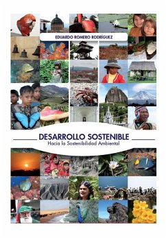 Desarrollo sostenible: Hacia la sostenibilidad ambiental (eBook, PDF) - Romero, Eduardo