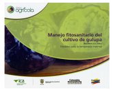 Manejo fitosanitario del cultivo de gulupa (Passiflora edulis Sims.): Medidas para la temporada invernal (eBook, PDF) Manejo fitosanitario del cultivo de gulupa (Passiflora edulis Sims.): Medidas para la temporada invernal (eBook, PDF)