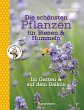 Die schönsten Pflanzen für Bienen und... - Bild 1