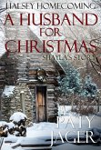 A Husband for Christmas (Halsey Homecoming, #4) (eBook, ePUB)