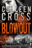 Blowout: A Katerina Carter Fraud Thriller (eBook, ePUB)