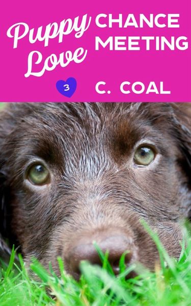 Puppy Love Chance Meeting (eBook, ePUB) Puppy Love Chance Meeting (eBook, ePUB)