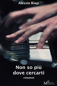 Non so più dove cercarti (eBook, ePUB) - Biagi, Alessio