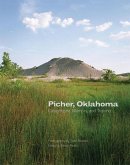 Picher, Oklahoma: Catastrophe, Memory, and Traumavolume 20