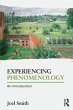 Experiencing Phenomenology - Bild 1