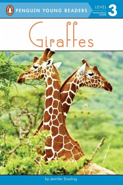 Giraffes - Dussling, Jennifer