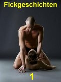 Fickgeschichten 1 (eBook, ePUB)
