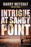 Intrigue at Sandy Point (The Oz Files, #2) (eBook, ePUB)