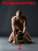Fickgeschichten 2 (eBook, ePUB)