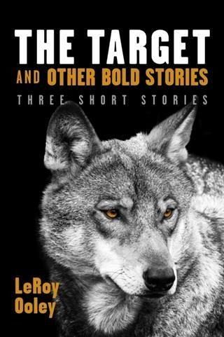 Target and Other Bold Stories (eBook, ePUB) Target and Other Bold Stories (eBook, ePUB)