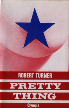 Pretty Thing (eBook, ePUB) - Turner, Robert