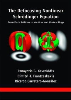 Cover The Defocusing Nonlinear Schrödinger Equation