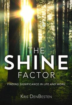 The Shine Factor - Denbesten, Kris