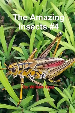 The Amazing Insects #4 - Cruz, William