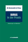 BilRUG in der Praxis