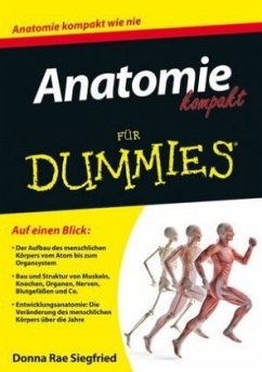Anatomie für dummies - Die qualitativsten Anatomie für dummies ausführlich analysiert