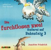 Keilerei auf Bahnsteig 3 / Die furchtlosen zwei Bd.2 (Audio-CD)