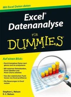 Excel Datenanalyse für Dummies - Nelson, Stephen L.;Nelson, E. C.