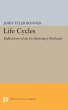 Life Cycles (eBook, PDF) - Bild 1