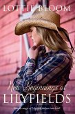 New Beginnings at Lilyfields (eBook, ePUB)