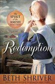 Redemption (eBook, ePUB)