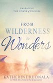 From Wilderness to Wonders (eBook, ePUB)