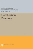 Combustion Processes (eBook, PDF)