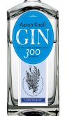Gin (eBook, ePUB)