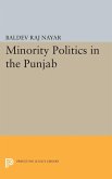Minority Politics in the Punjab (eBook, PDF)