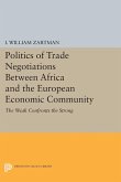 Politics of Trade Negotiations Between Africa and the European Economic Community (eBook, PDF)