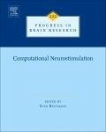 Computational Neurostimulation (eBook, ePUB)