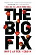 The Big Fix (eBook, ePUB) - Bild 1