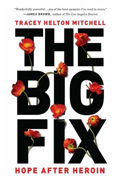 The Big Fix (eBook, ePUB) - Helton Mitchell, Tracey