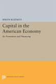 Capital in the American Economy (eBook, PDF)